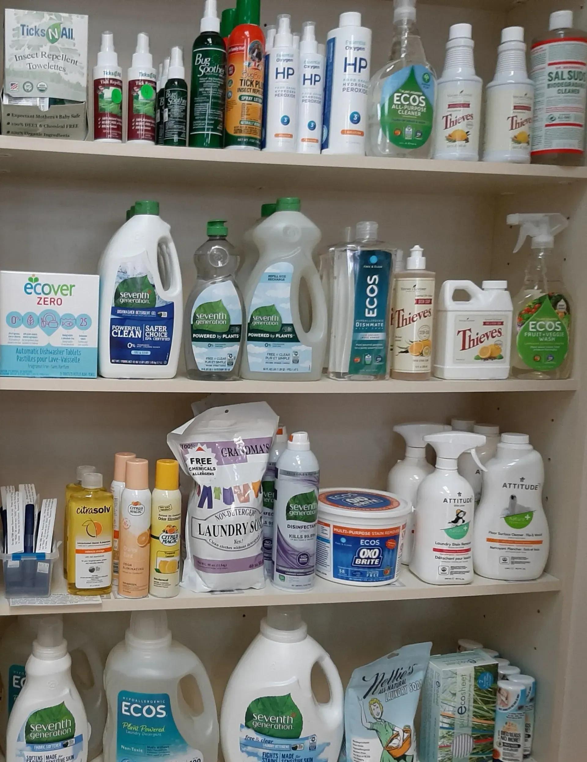 A pantry shelf filled with various household cleaning supplies and bottles, arranged in an organized storage unit.