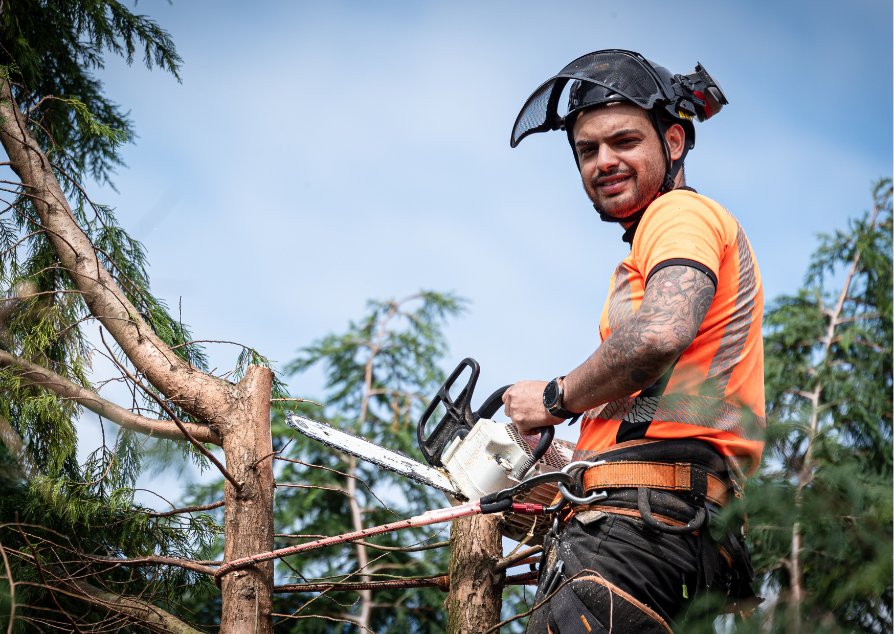 Tree Crown Reduction Morpeth