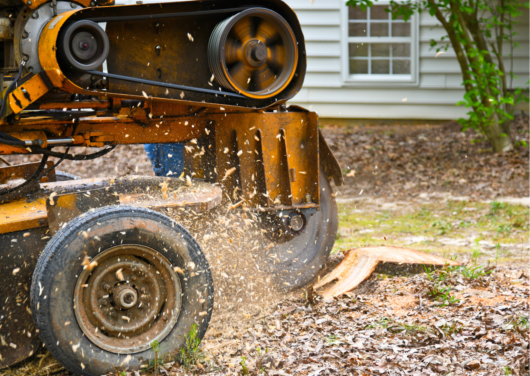 Tree Stump Removal Service Near Me | Morpeth