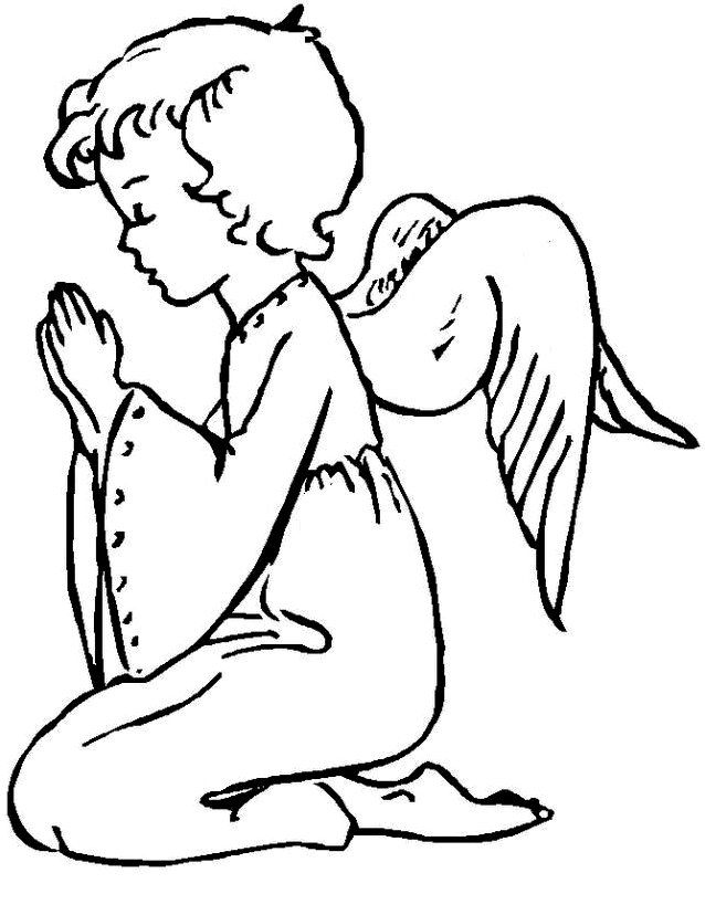 Bara con accanto delle rose bianche