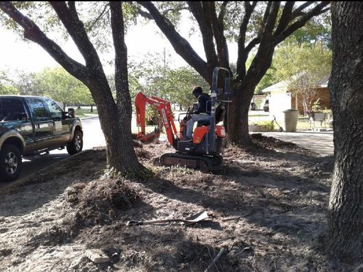 Tree Removal Company in College Station, TX