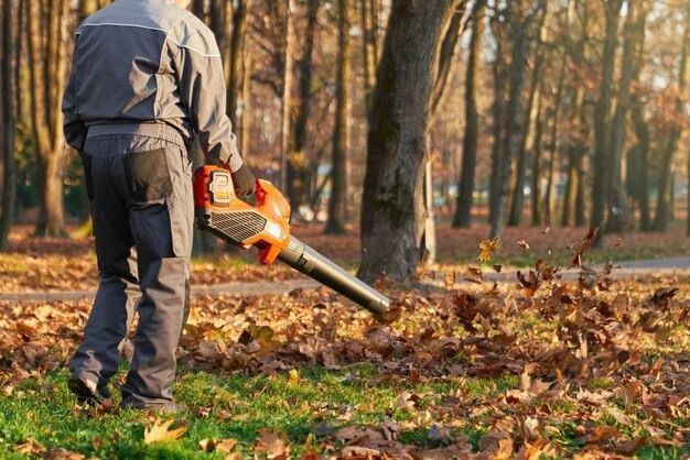 A man is blowing leaves in a park with a blower.