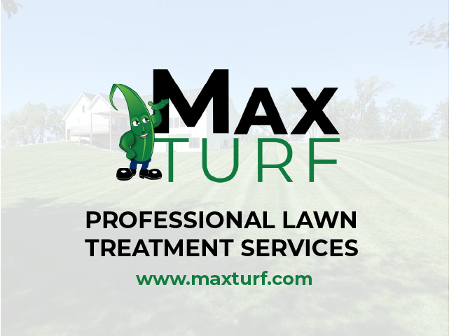 Max turf sale