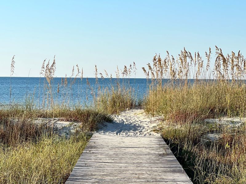 Wooden boardwalk through sand dunes, leading to ocean view.