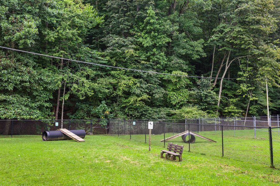 Dog park with obstacles on grassy area, surrounded by a fence and trees.