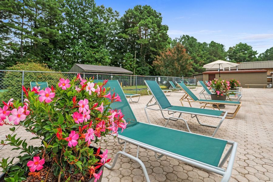 Lounge chairs by a pool with pink flowers, surrounded by trees and a fence.