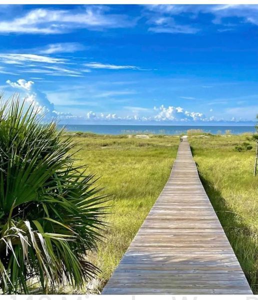 Wooden boardwalk through grassy dunes leads to the ocean under a bright blue sky.