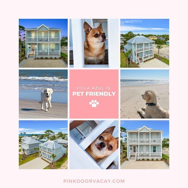 Villa Azul is pet-friendly. Collage of beach houses with dogs, light blue, pink accents, beach setting.