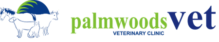 Veterinary Clinic in Palmwoods