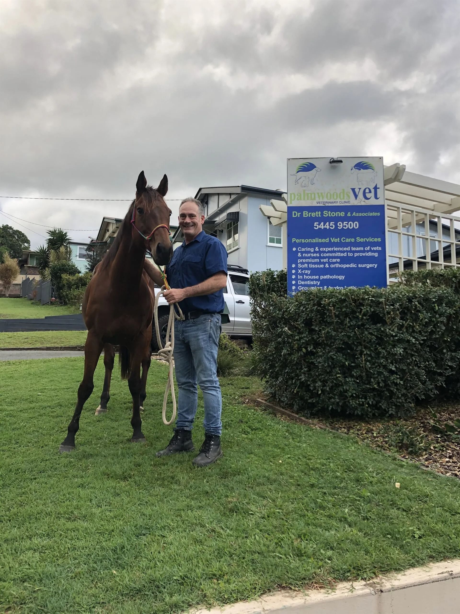 Golden Cocker Spaniel Dog Licking Its Lips, Lying Down on A Blue-To-White Gradient Background — Palmwoods Veterinary Clinic In Palmwoods, QLD