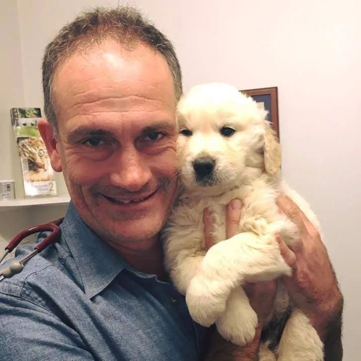 A Smiling Man in A Blue Shirt Holds a Fluffy Golden Retriever Puppy. They Are Indoors, Likely at A Vet's Office — Palmwoods Veterinary Clinic In Palmwoods, QLD