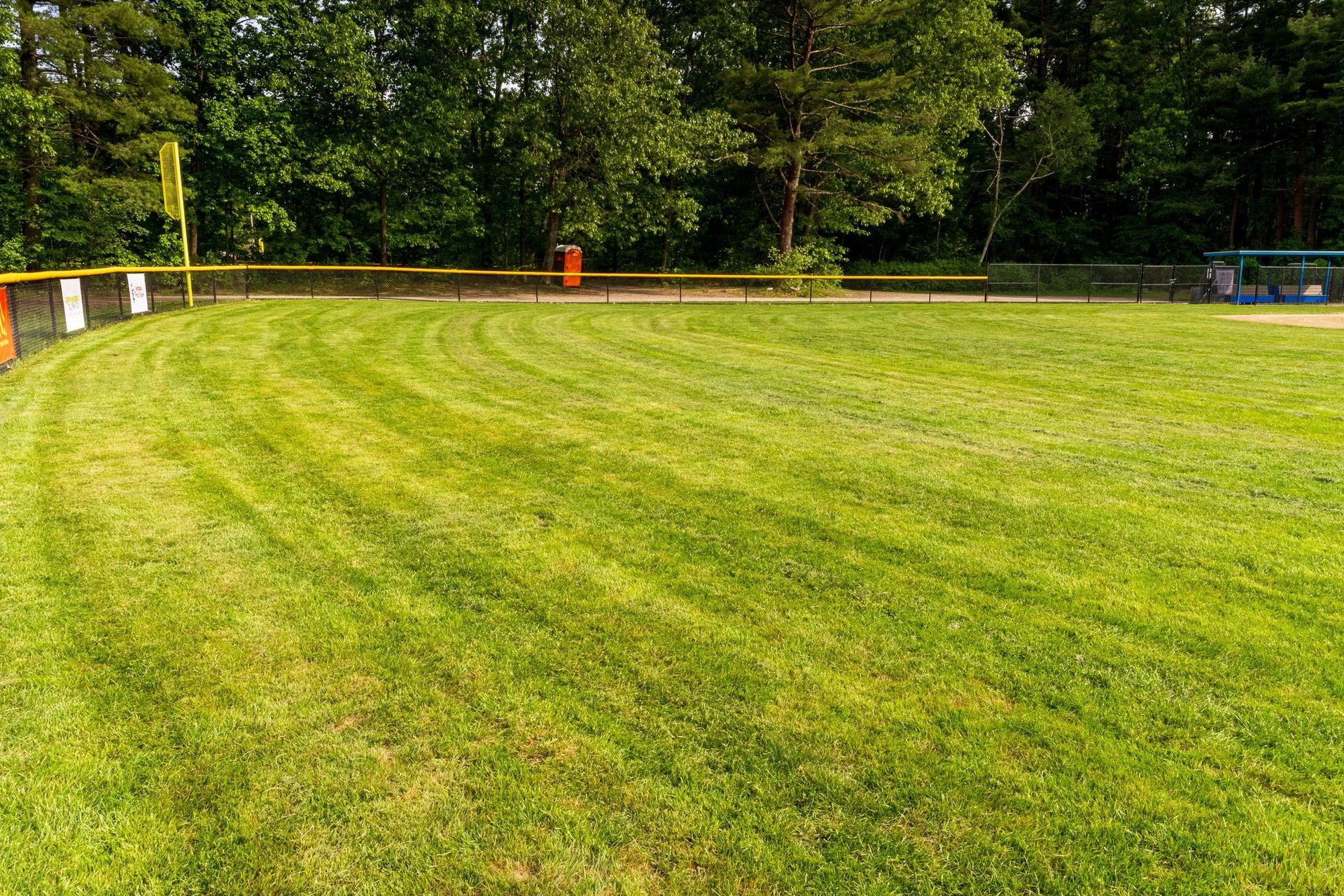 fresh sod lawn installation