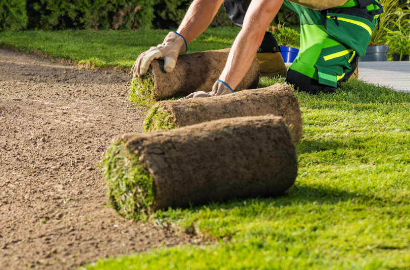 lawn installation experts Norwell MA