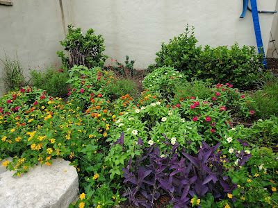 Colorful flowerbed with yellow, red, white, and purple blooms against a white wall.