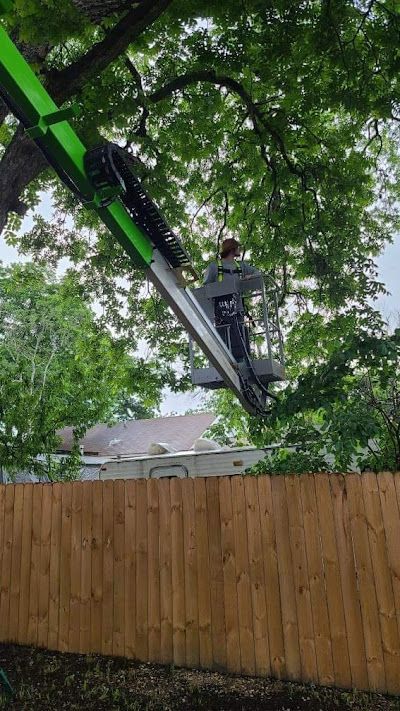 Person in a lift trimming a tree above a wooden fence. Green lift, trees, and cloudy sky.