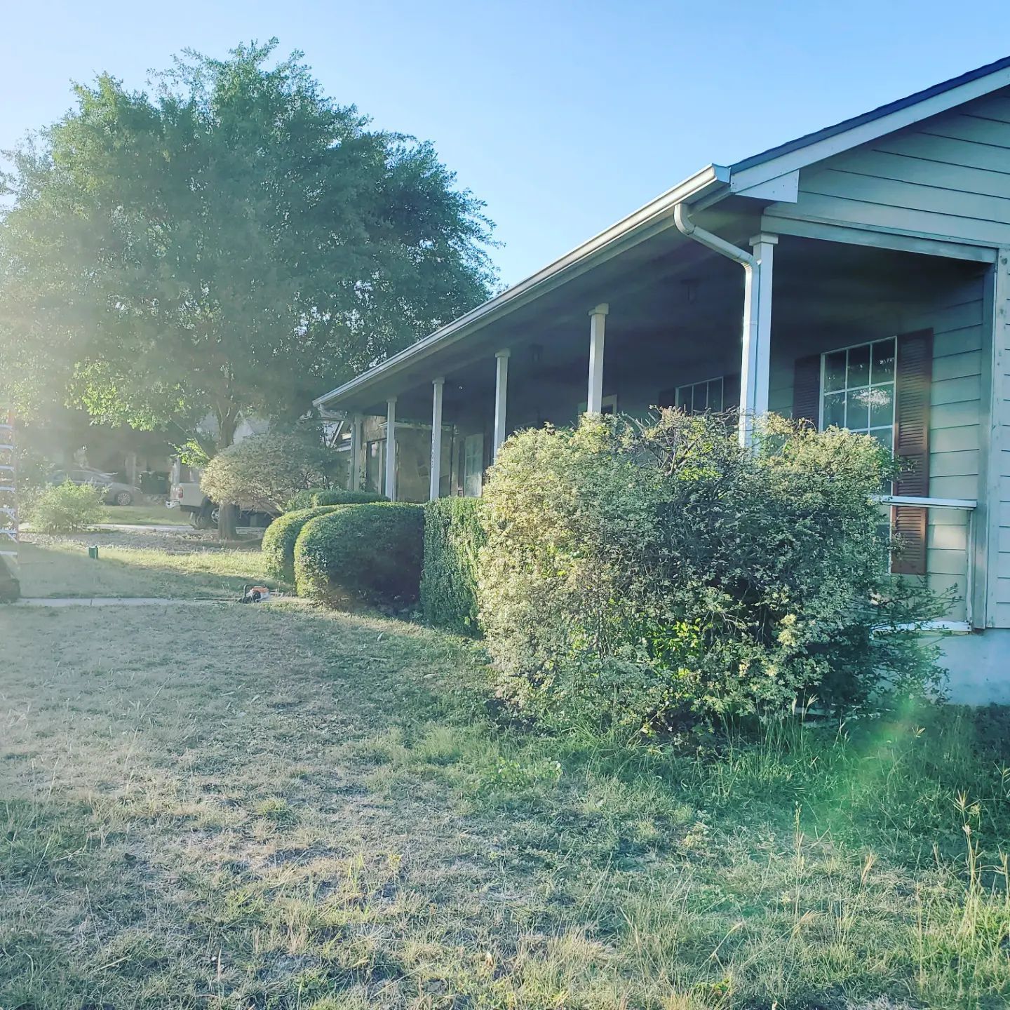 A house with a porch and green lawn, bushes, and a tree on a sunny day.