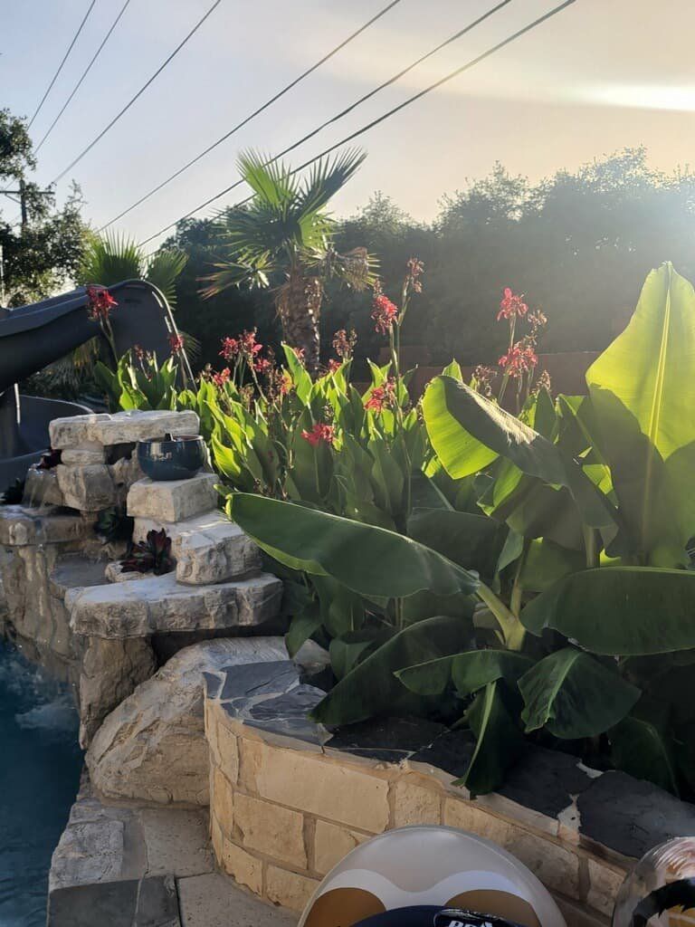 Poolside with flowering plants, stone wall, and banana leaves. Sunlight shines.