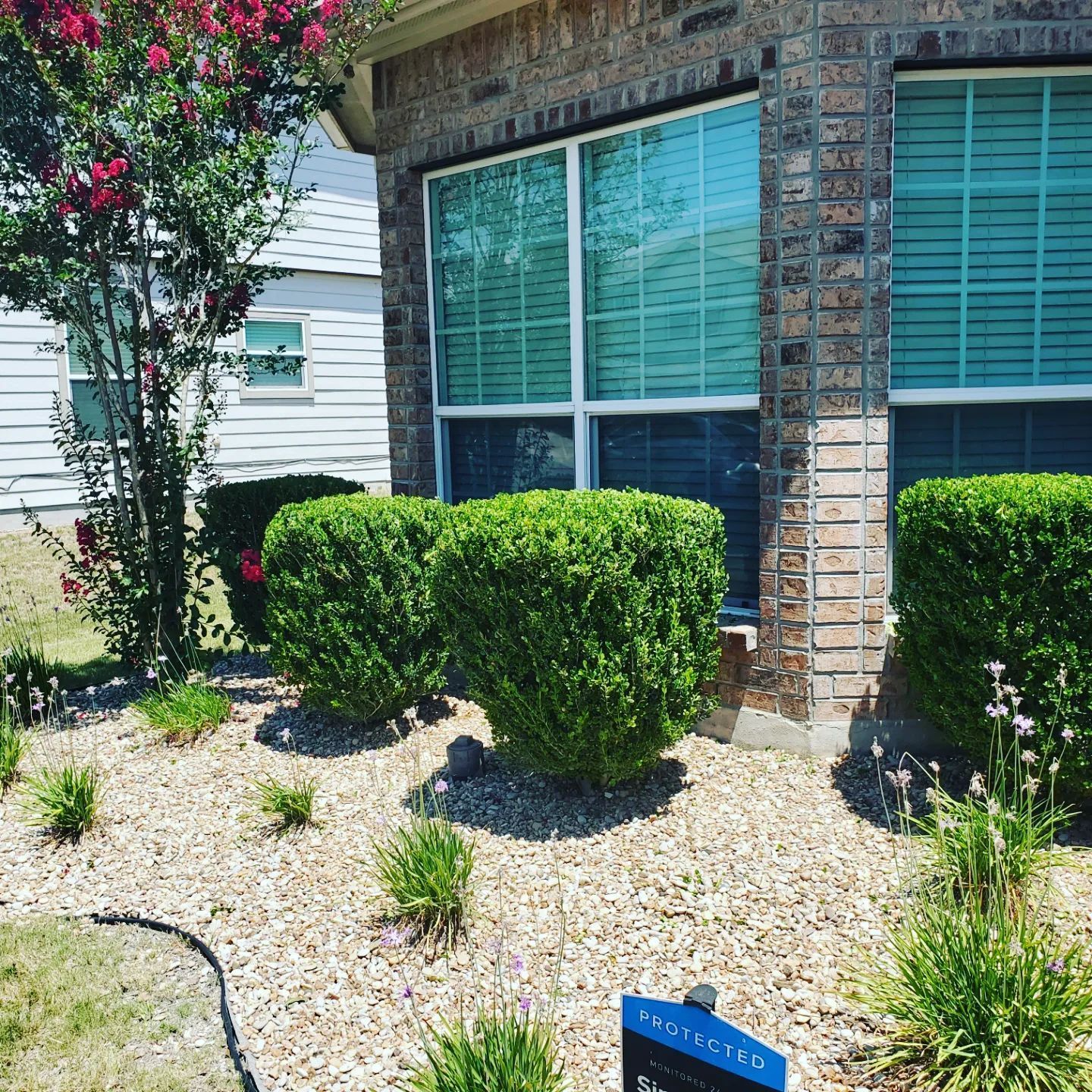 Well-manicured bushes and small plants in a rock bed in front of a brick house with large windows.