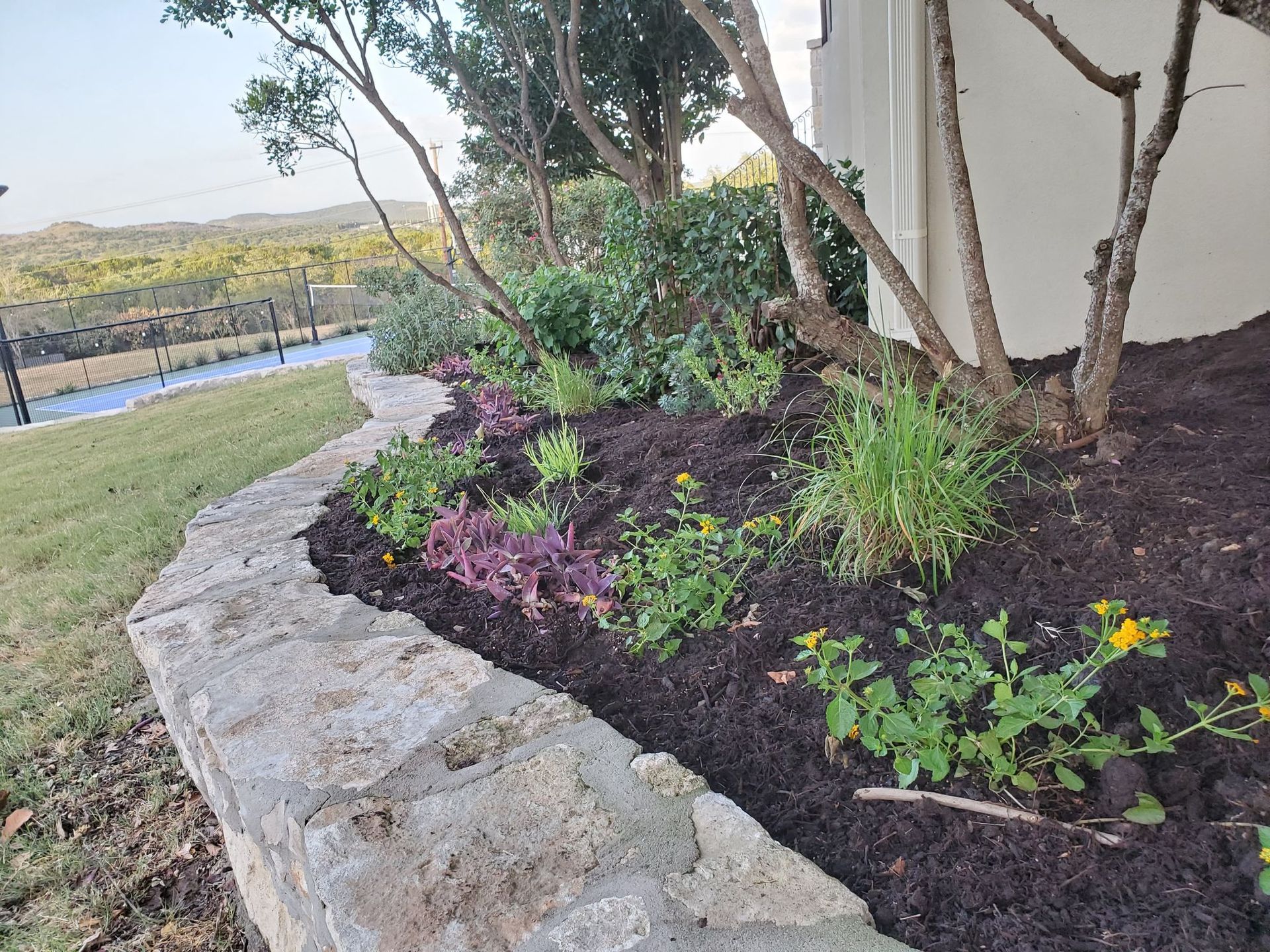 Stone-edged garden bed with mulch and colorful plants near a tree, overlooking a grassy area and distant view.