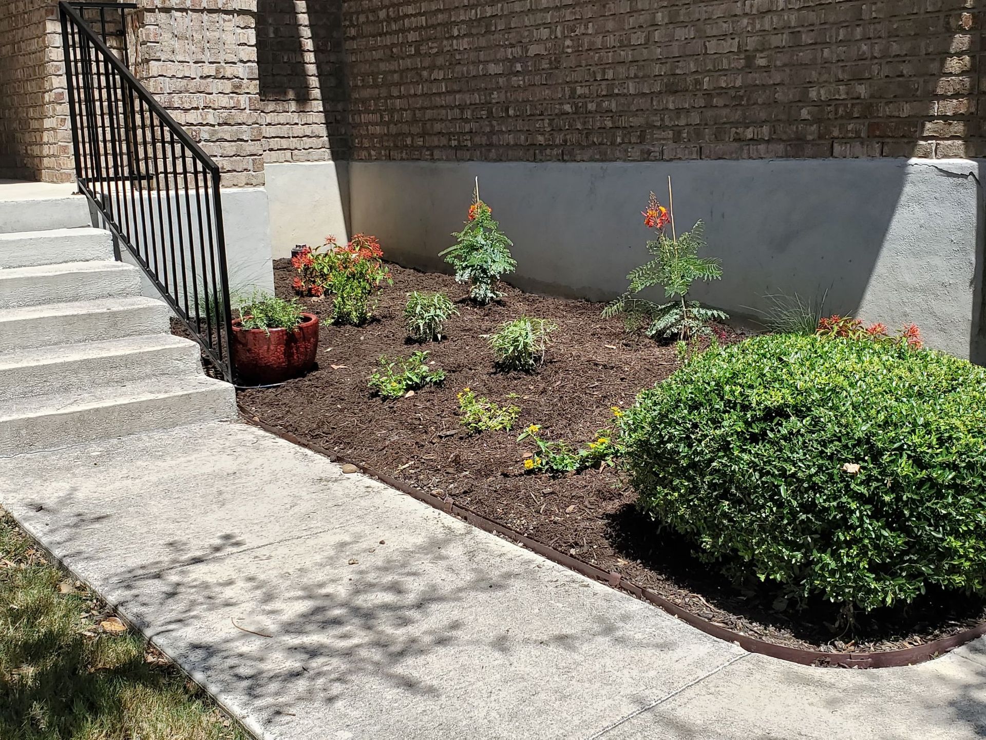 Concrete steps leading to a brick building with a landscaped flower bed and a shrub.