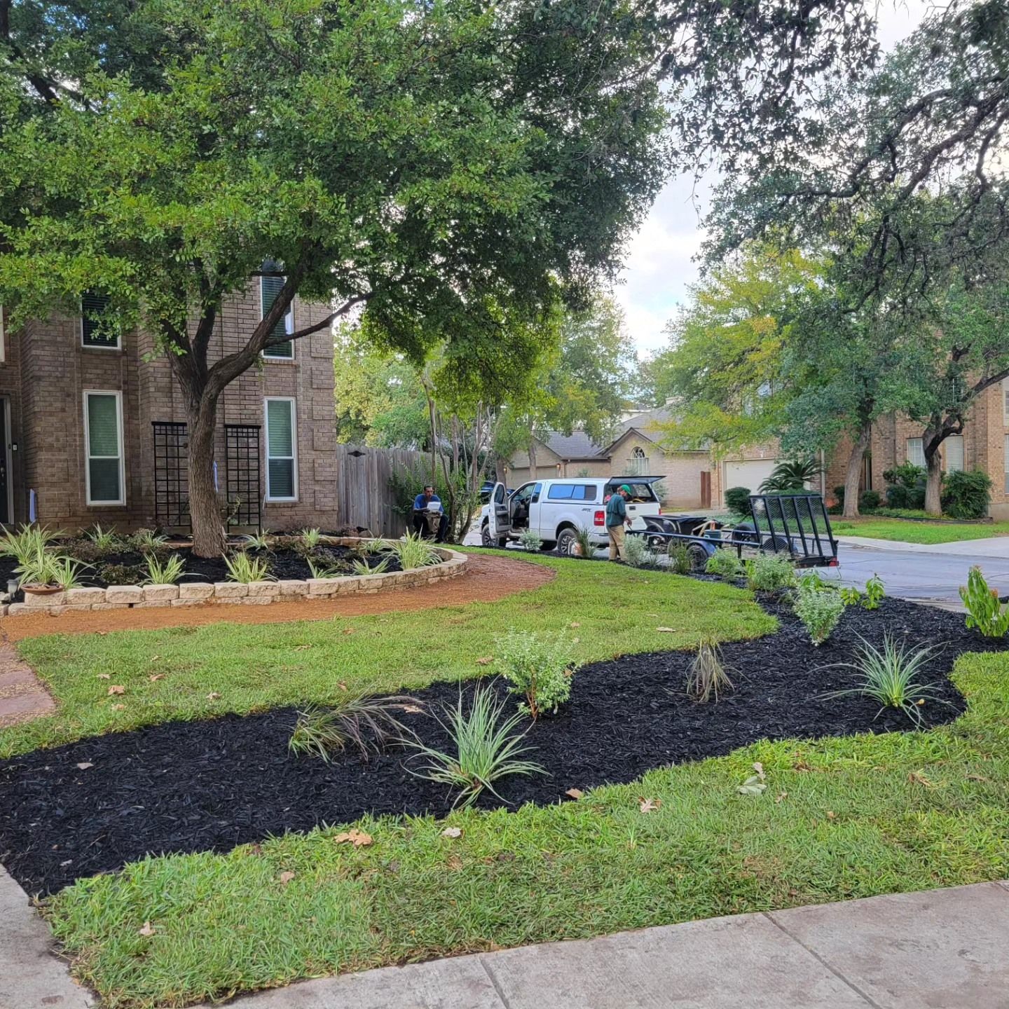 Landscaped front yard with black mulch, green grass, and workers near a white truck.