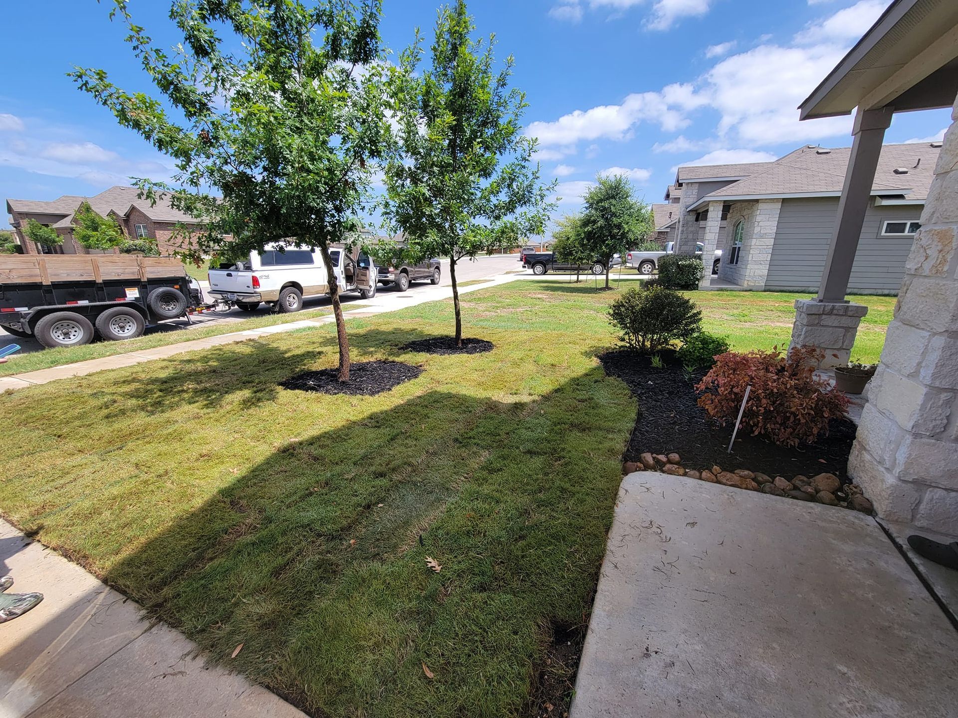 Lawn and trees in front yard of a house. Black mulch surrounds trees. Cloudy blue sky.
