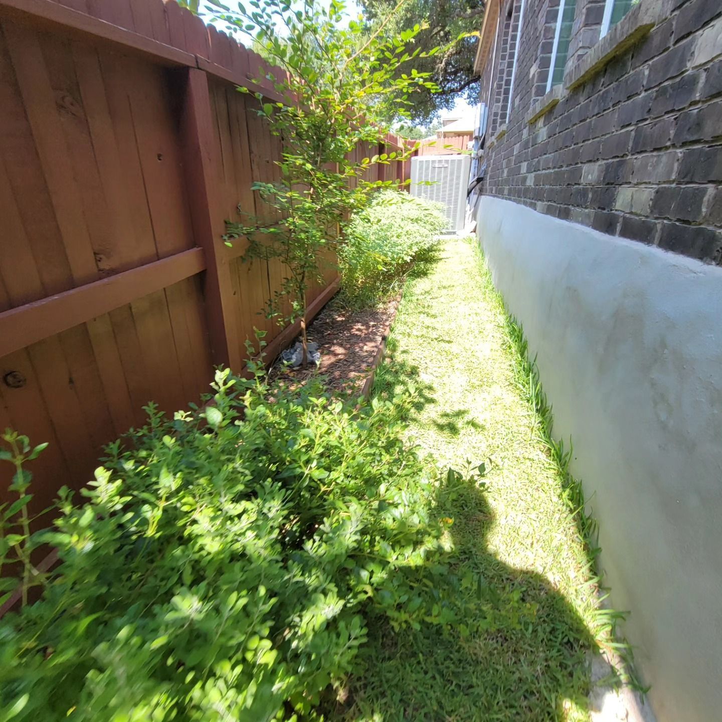 Narrow yard with brown fence, brick building, green plants, and grass.