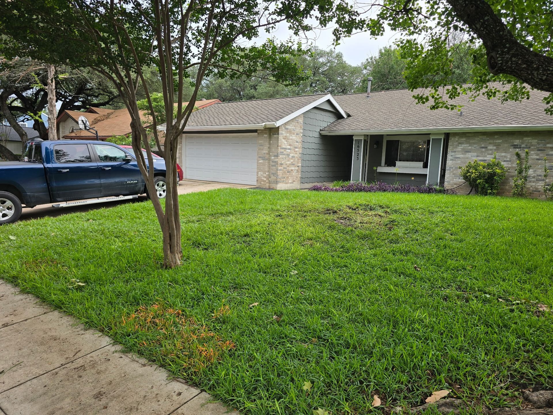A house with green lawn, a truck, and a tree in front.