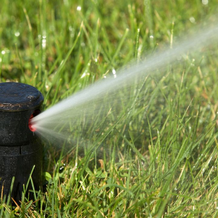 Lawn sprinkler spraying water on green grass.