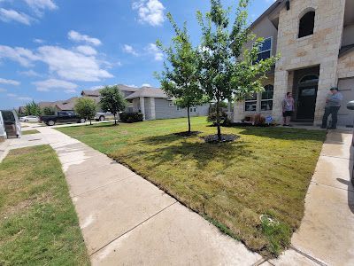 Lawn in front of a house, two trees, sidewalk. Two people stand in front of the house. Blue sky.