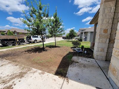 Front yard with two young trees, recently mulched, and parked vehicles under a blue sky.
