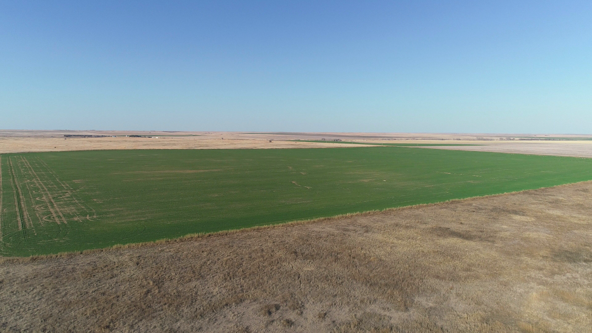 An aerial view of a large green field in the middle of a desert.