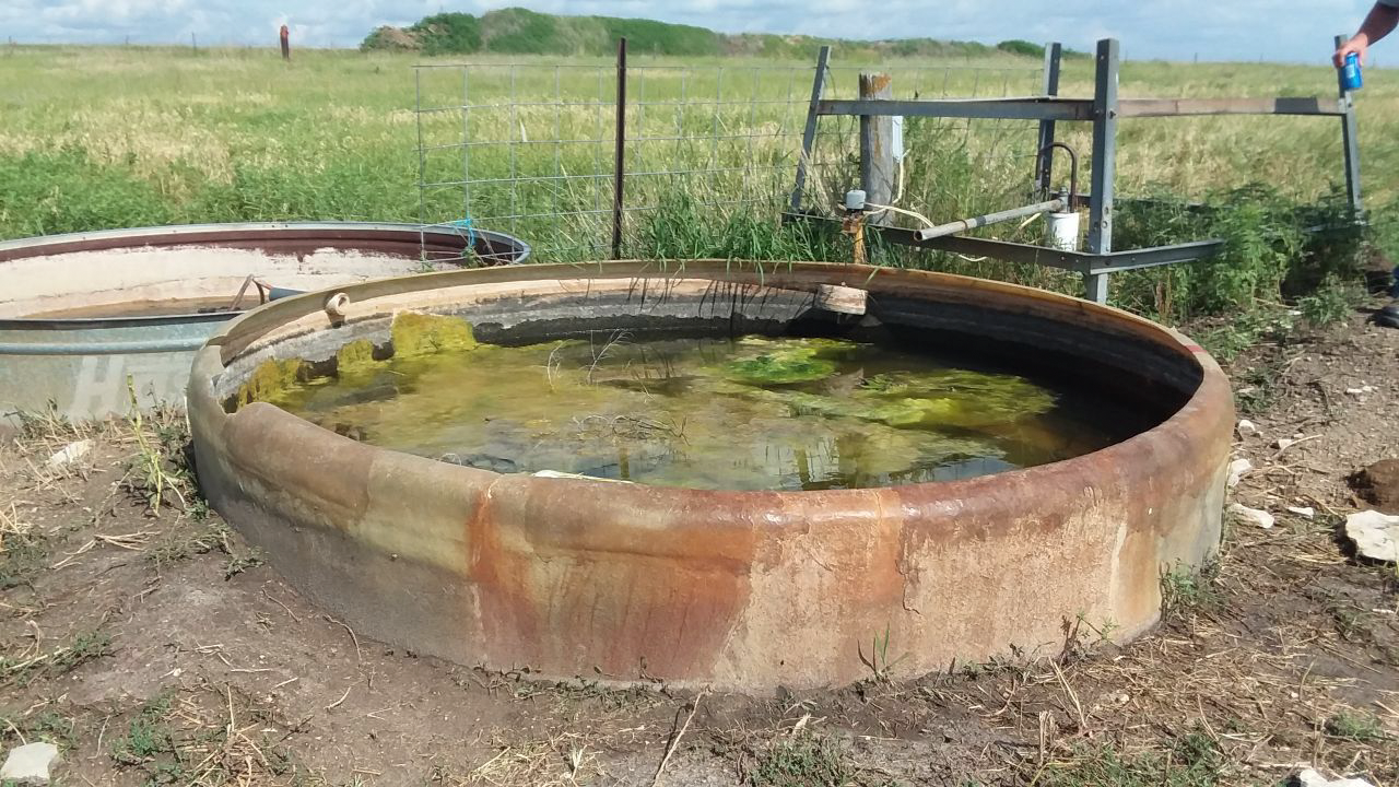 A large rusty tank filled with water is sitting in the middle of a field.