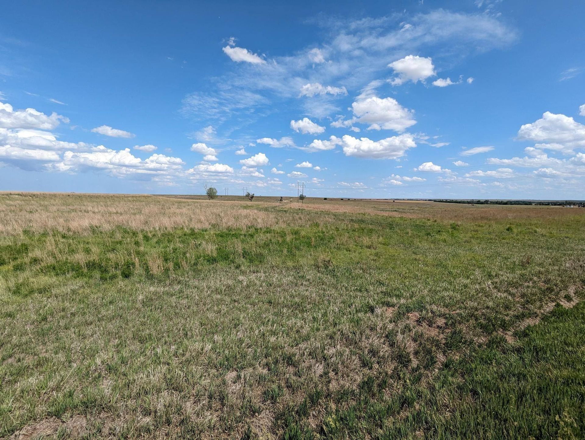 A large grassy field with a blue sky and clouds in the background.