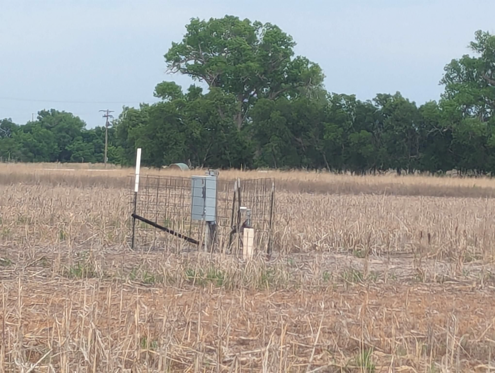 A fenced in field with trees in the background