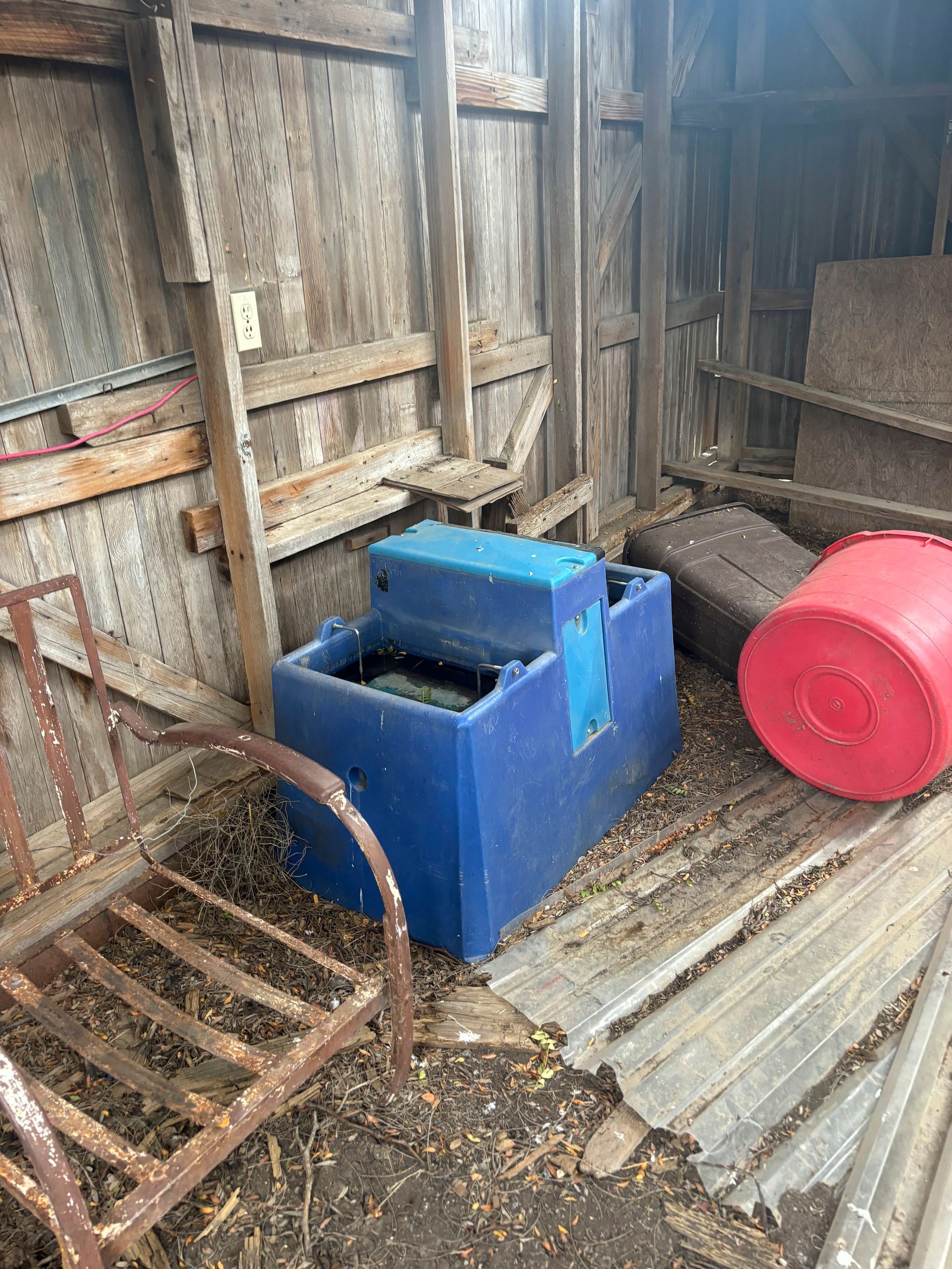 A blue water trough is sitting in a shed next to a red bucket.