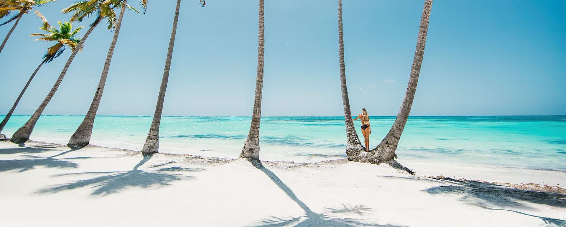 Una mujer está parada en una playa tropical rodeada de palmeras.