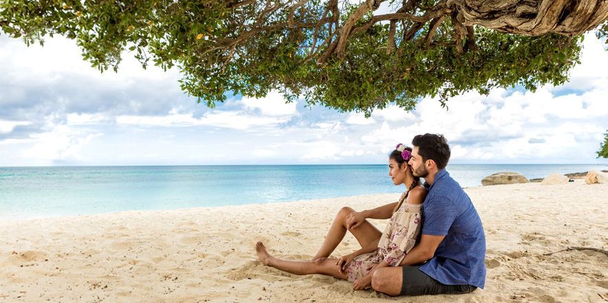 Un hombre y una mujer están sentados bajo un árbol en la playa.