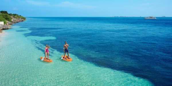 Una playa con palmeras y sillas y una vista del océano