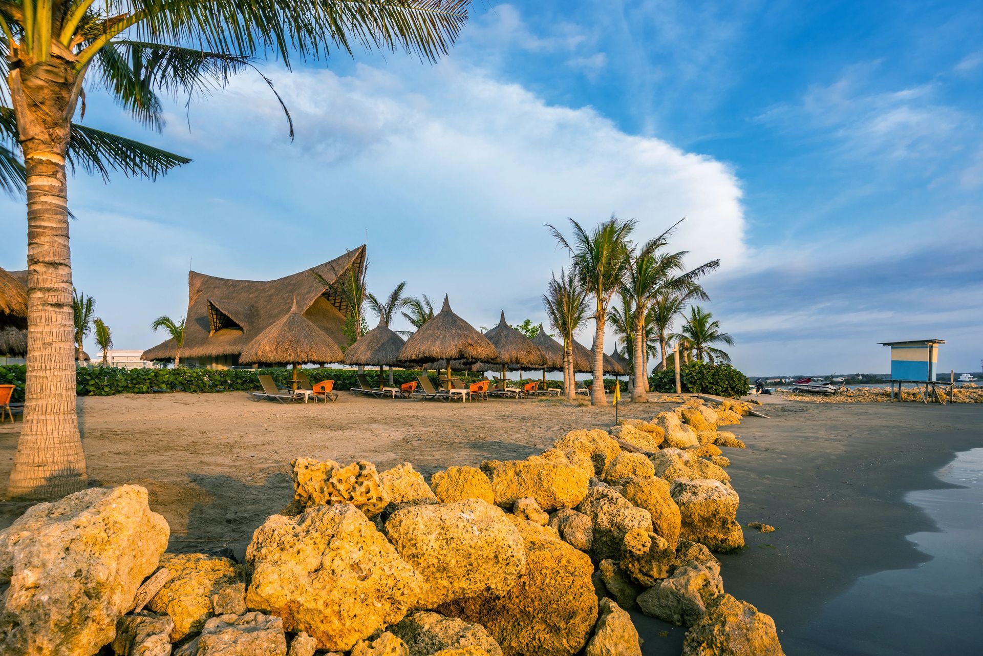 Una playa con muchas rocas y palmeras.