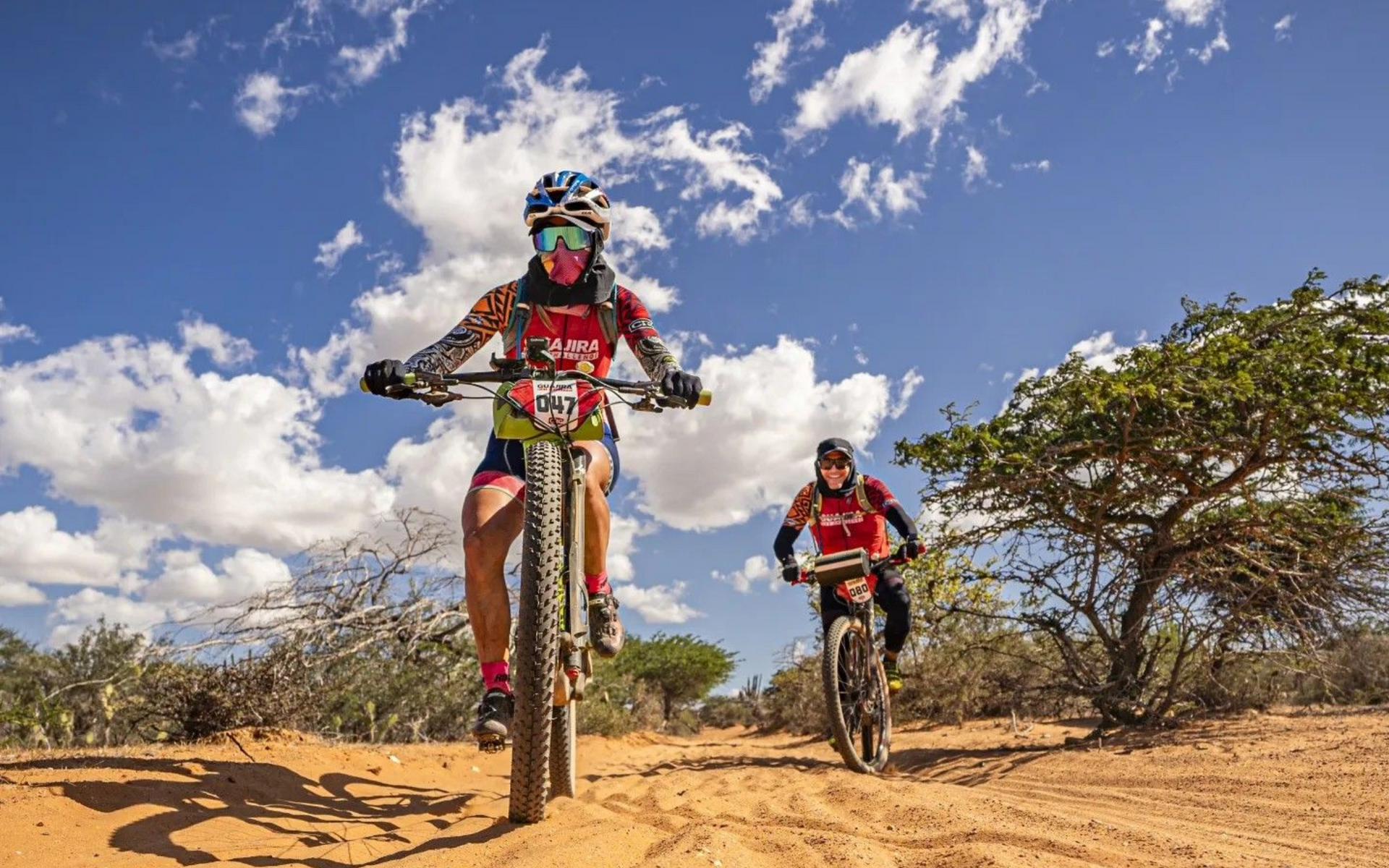 Un hombre y una mujer caminan por una playa con palmeras.