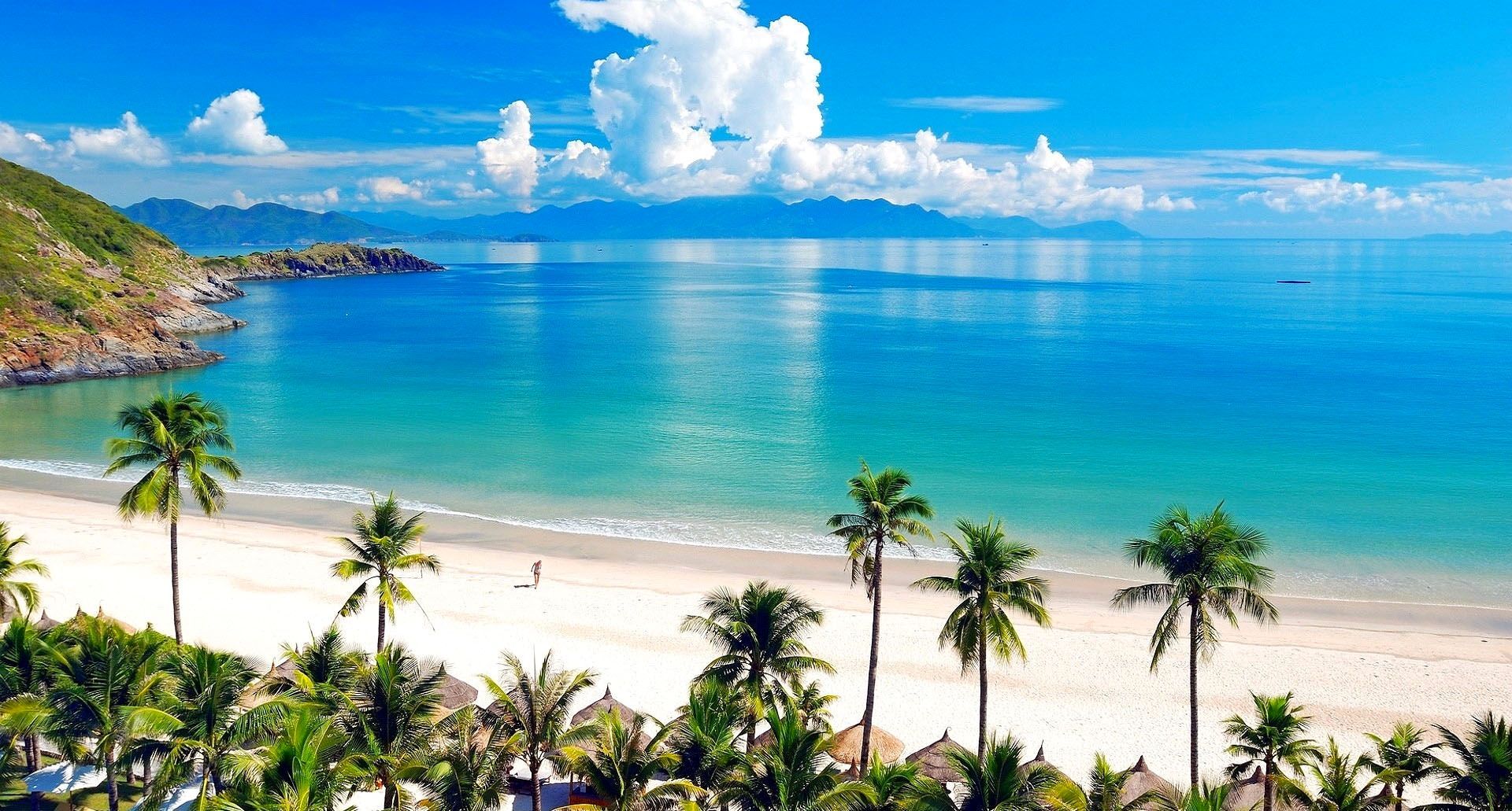 Un grupo de personas está jugando en el océano en una playa.