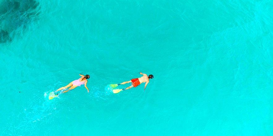 Una vista aérea de dos personas nadando en una piscina.