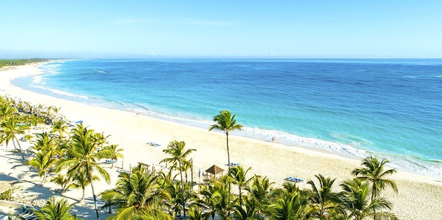 Una vista aérea de una playa tropical con palmeras y un océano azul.