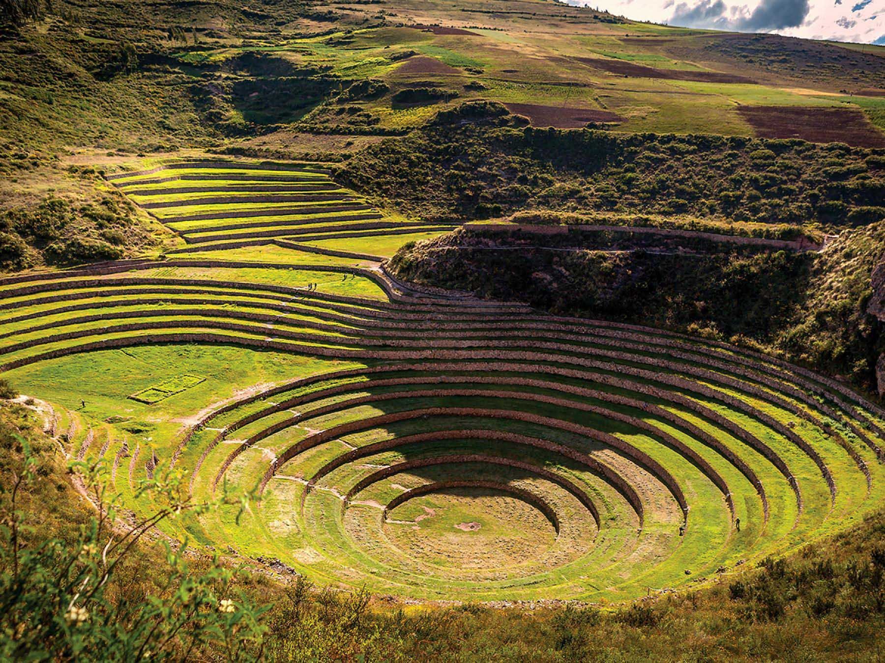 Un gran campo circular con mucho césped y árboles en el fondo.