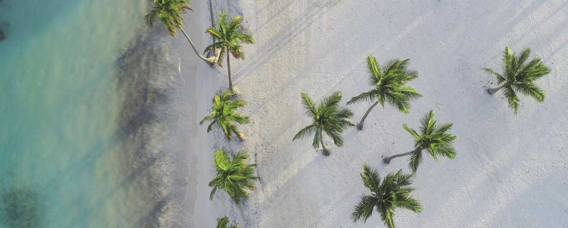 Una vista aérea de una playa tropical con palmeras y agua turquesa.