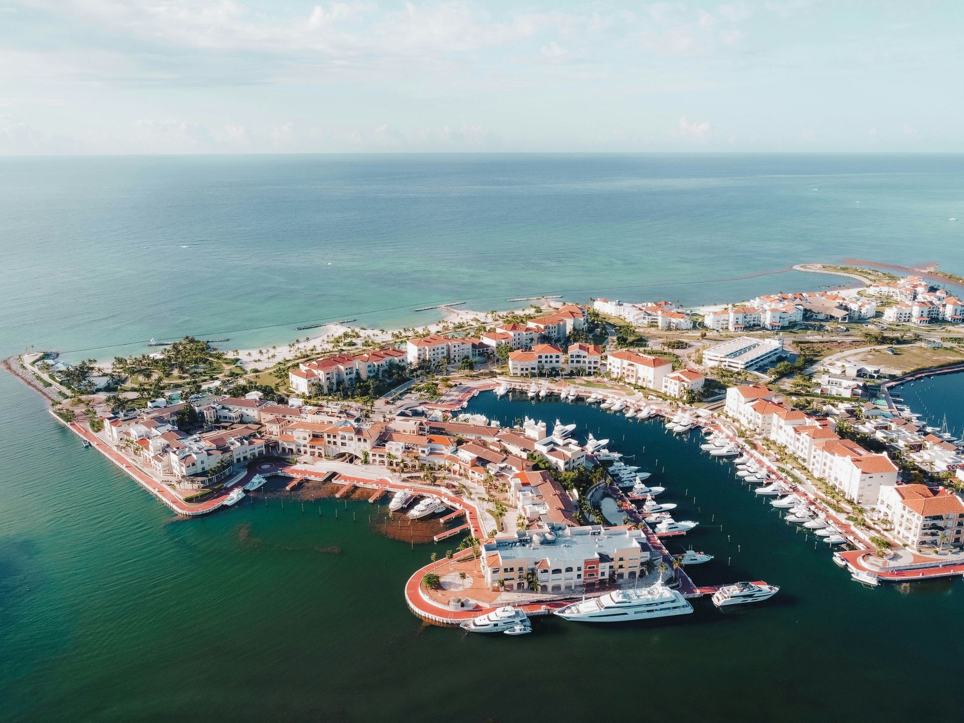 Un hombre y una mujer caminan por una playa con palmeras.