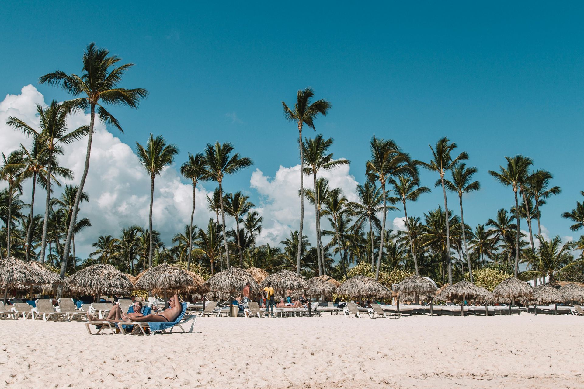 Una familia está parada en una playa junto a una palmera.