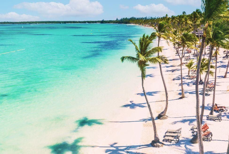 Una vista aérea de una playa tropical con palmeras y sillas.