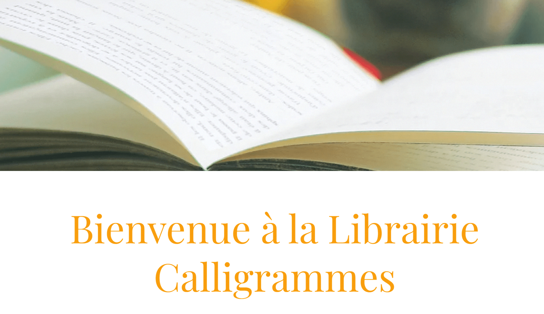 Librairie, Bandes déssinées